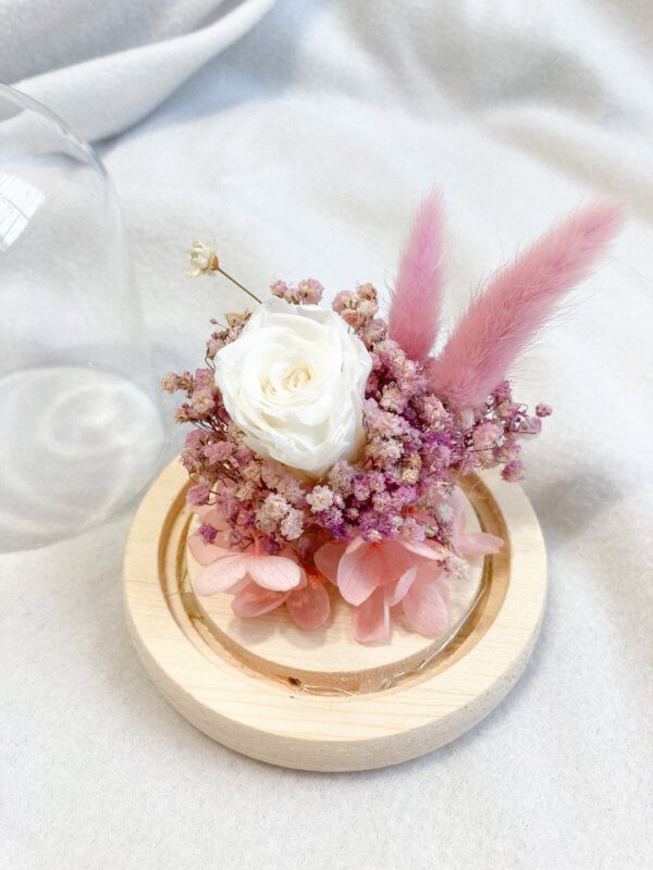 Pink preserved rose flower dome