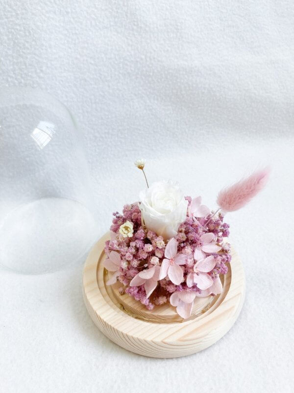 Pink white preserved rose flowers dome