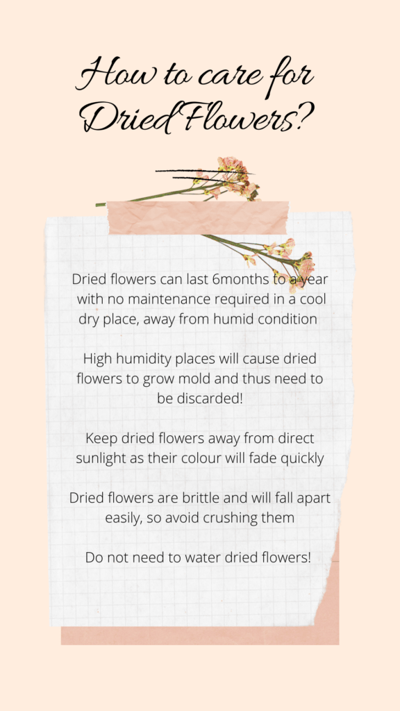 Dried flowers care tips