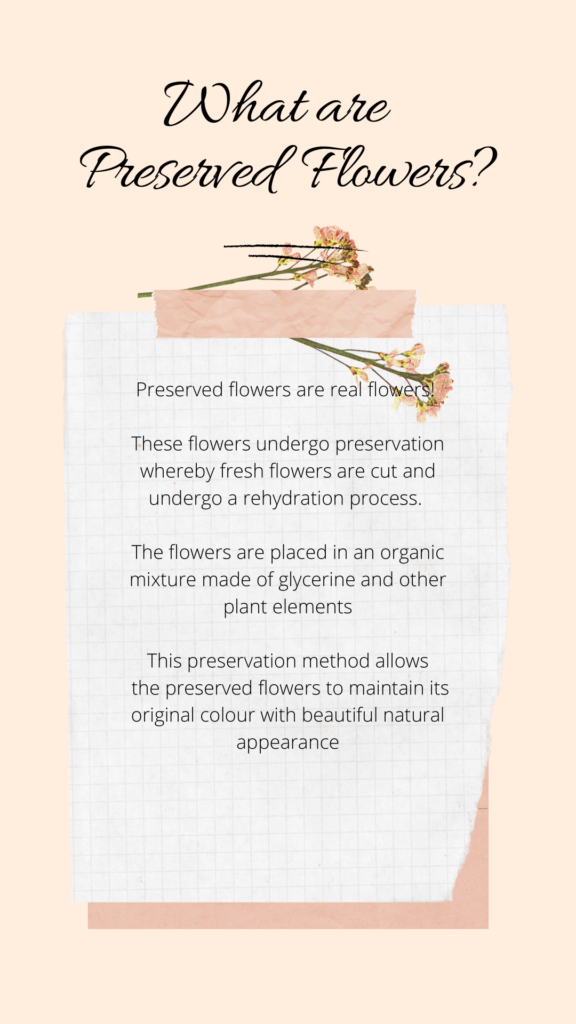 Preserved flowers FAQ