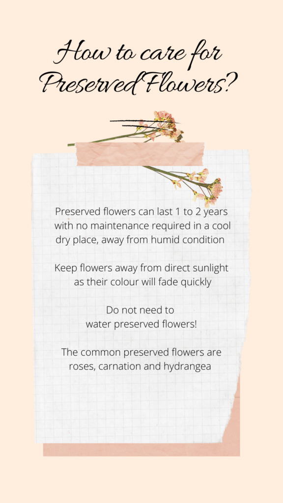 Preserved flowers care tips