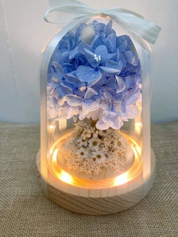 Preserved hydrangea dome with LED