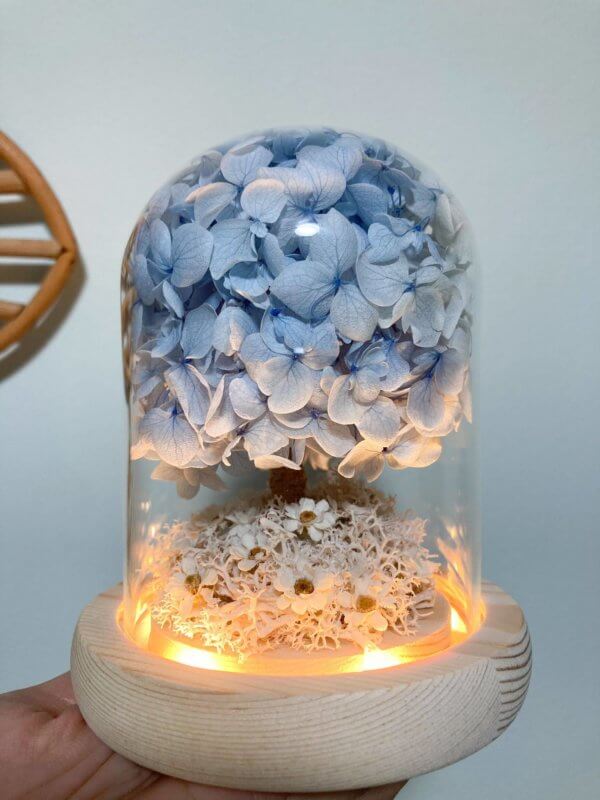 Blue preserved hydrangea in glass dome