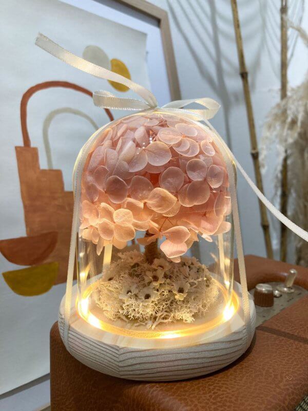 Pink preserved hydrangea in glass dome