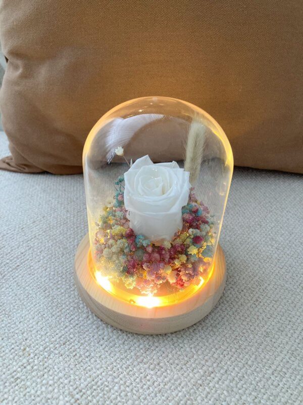 White rose with rainbow flowers in glass dome