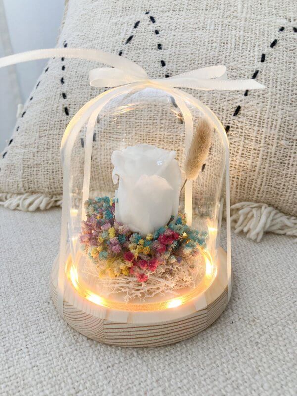 Rainbow baby breath flowers dome