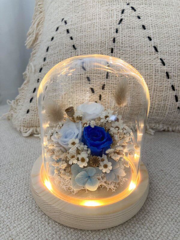 Preserved blue roses glass dome with LED