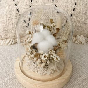 Fluffy white preserved cotton flower in glass dome