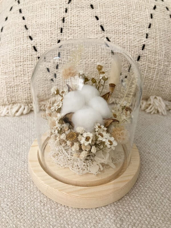 Fluffy white preserved cotton flower in glass dome