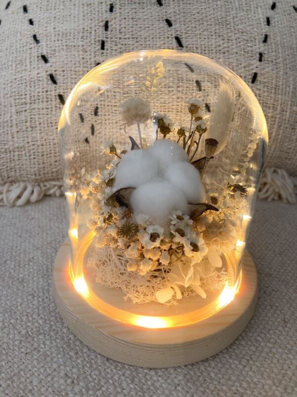 Fluffy white preserved cotton flower in glass dome with LED